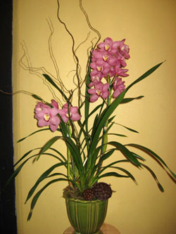 Orchid Plan